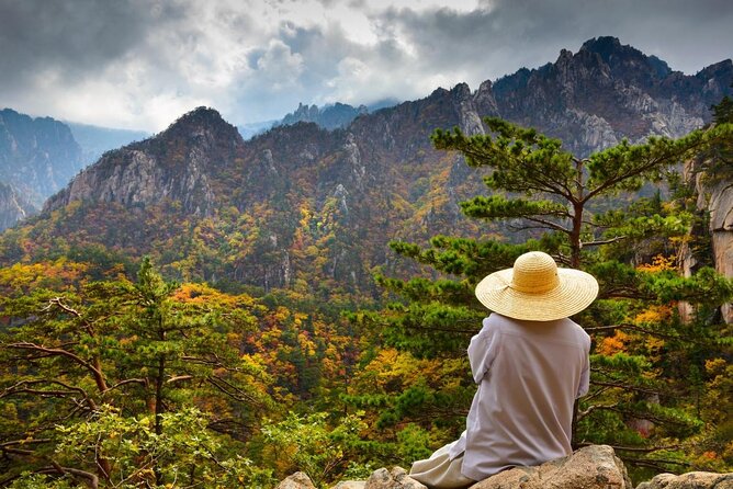 5-Day Korea Golden route by K-shuttle Tour from Seoul Including Busan, Yeosu - Key things to know before you go