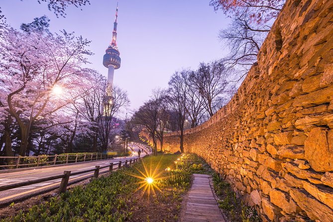 Afternoon Seoul: Hanok Vibes, Netflix Street Food & N Seoul Tower - Should you book Afternoon Seoul: Hanok Vibes, Netflix Street Food & N Seoul Tower?