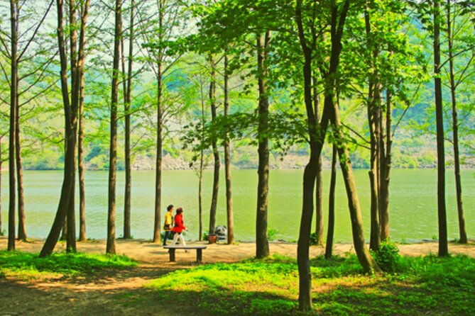 Alpaca World and Nami Island with Gangchon Rail Bike Tour - Seoul to Nami Island to Alpaca World to Rail Bikes: the full-day logistics