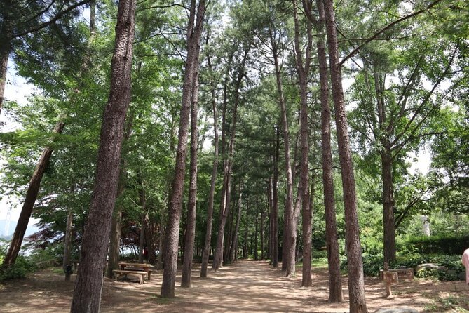 Alpaca World and Nami Island with Gangchon Rail Bike Tour - Price and value: why $65.45 can work if you’re doing all three stops