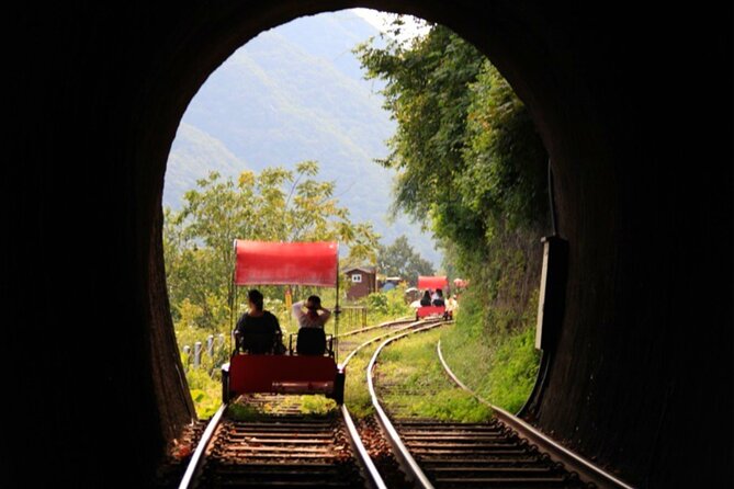 Alpaca World and Nami Island with Gangchon Rail Bike Tour - What to pack and how to make the day feel easy