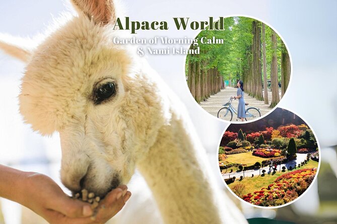Alpaca World & Nami Island & Garden of Morning Calm One Day Tour - Getting between stops: expect a long day, then relax