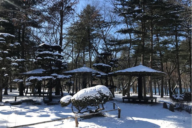 Alpaca World & Nami Island & Garden of Morning Calm One Day Tour - Alpaca World: feeding animals plus a whole mini farm scene