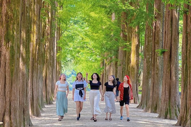 Alpaca World & Nami Island & Garden of Morning Calm One Day Tour - Nami Island: tree-lined paths, winter drama vibes, and crowds to plan for