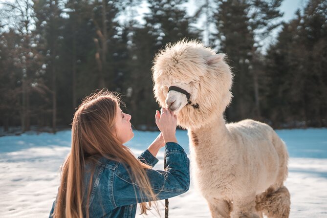 Alpaca World & Nami Island & Garden of Morning Calm One Day Tour - The Garden of Morning Calm: a calm end with seasonal atmosphere