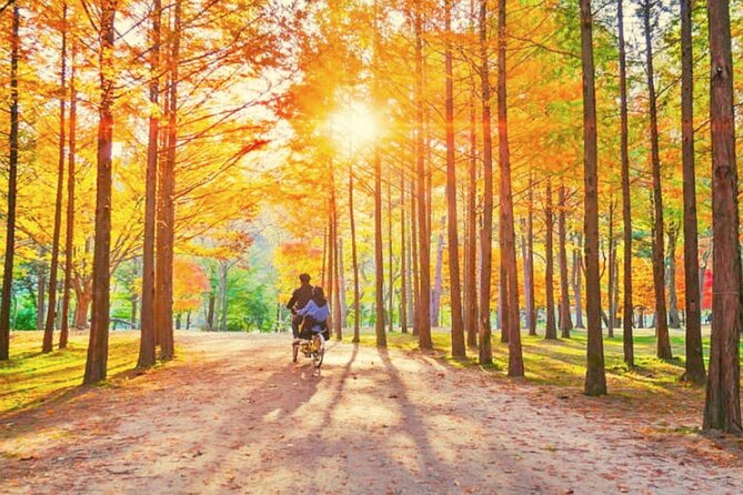 Alpaca World & Nami Island & Garden of Morning Calm One Day Tour - The real schedule reality: how to protect your time