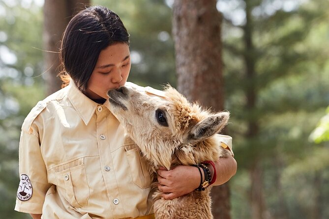 Alpaca World & Nami Island & Garden of Morning Calm One Day Tour - Price and value: what $78.52 really buys you