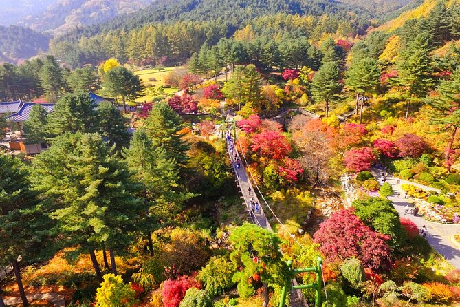 Alpaca World Tour with Nami Island (optional Railbike or Garden) - Stop 1: Alpaca World and the Hands-On Animal Time