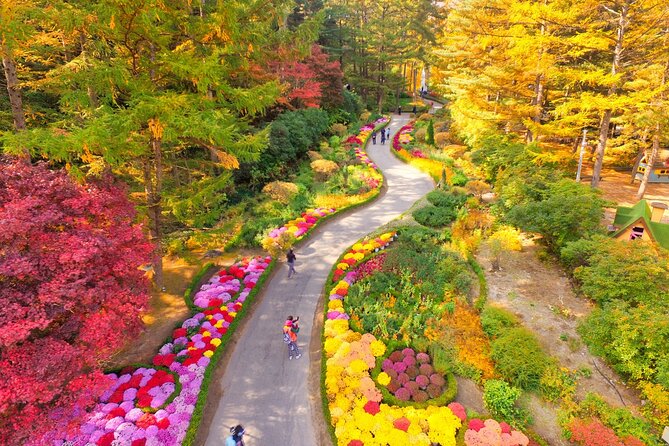 Alpaca World Tour with Nami Island (optional Railbike or Garden) - Stop 2: Nami Island for Tree-Lined Walking and Lunch Nearby