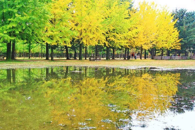 Alpaca World Tour with Nami Island (optional Railbike or Garden) - Gangchon Rail Park Railbike: Old Tracks, Fun With Momentum