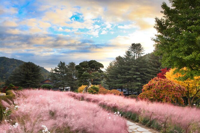 Alpaca World Tour with Nami Island (optional Railbike or Garden) - The Stay Healing Park Starlight Festival at Night