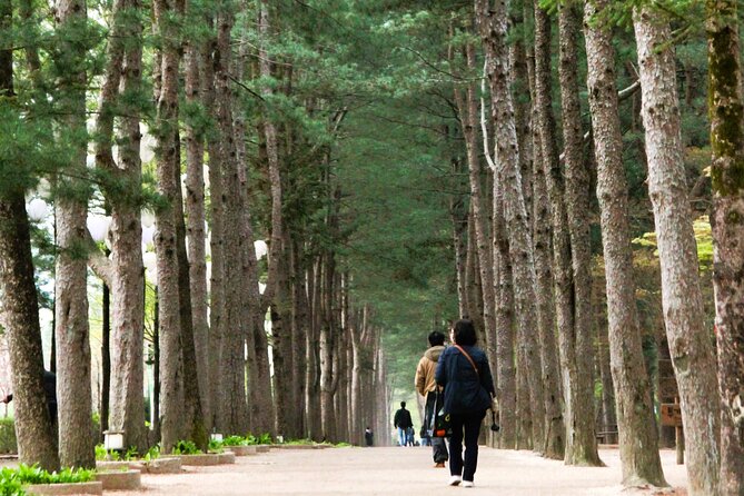 Day Trip to Nami Island with Rail bike and The Garden of Morning Calm - What you get for $76.19: tickets plus round-trip Seoul transport