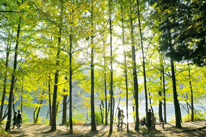 Day Trip to Nami Island with Rail bike and The Garden of Morning Calm - Managing an 11–12 hour day: timing, crowds, and food