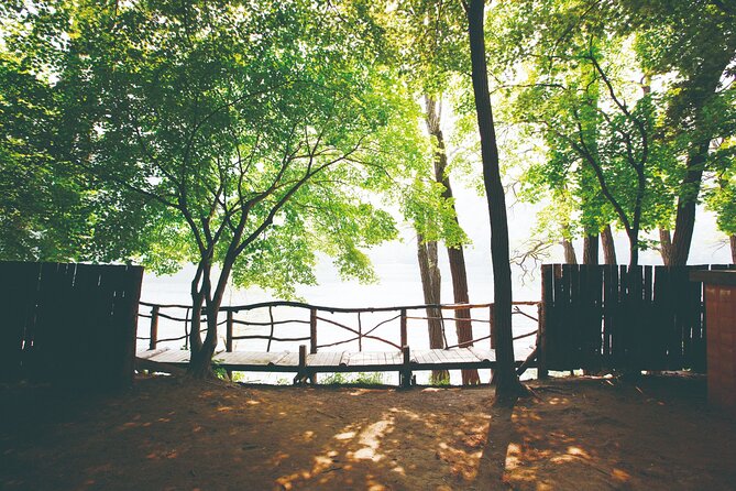 Day Trip to Nami Island with The Garden of Morning Calm - Lunch, timing, and how to avoid wasting your best hours