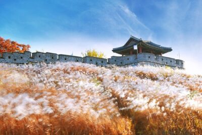 Day Trip to UNESCO: Suwon Fortress Adventure from Seoul - Hwaseong Fortress Walk: Gates, Walls, and King Jeongjo’s Story