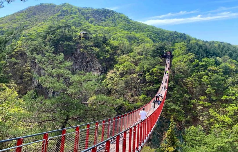 DMZ; NK Defector, 3rd Tunnel, Suspension Bridge,Hotel pickup - Imjingak Park: Mangbaedan, Freedom Bridge, and the steam-locomotive moment