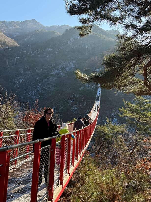 DMZ; NK Defector, 3rd Tunnel, Suspension Bridge,Hotel pickup - The entry rhythm: Unification Bridge checkpoint to the Tunnel of Aggression