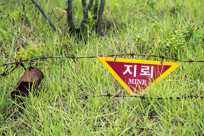 DMZ One Day Tour in Gyeonggi-do with English or Spanish - Who This Tour Is Best For (and Who Might Prefer Another Plan)