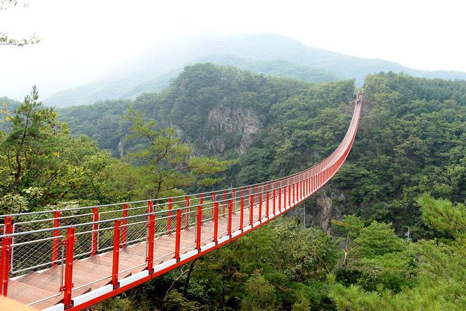 DMZ Tour: 3rd Tunnel, Option(Suspension Bridge, Boat) from Seoul - Your choice of scenic finish: Gamaksan Chulleong suspension bridge hike