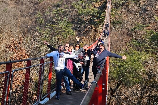 DMZ Tour from Seoul – Optional Suspension Bridge Experience - Dora Observatory: the telescope view and what’s actually in range