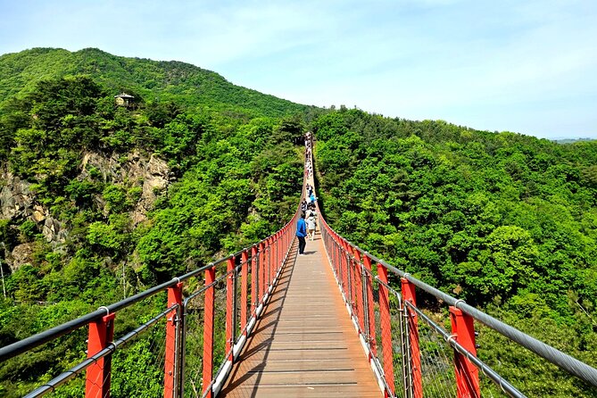 DMZ Tour from Seoul – Optional Suspension Bridge Experience - Price and what you get for $27.50
