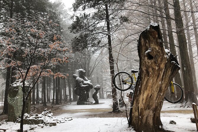 Eobi Ice Valley / Elysian Ski Resort / Nami Island - Nami Island in winter: ferry handled, photo walks included