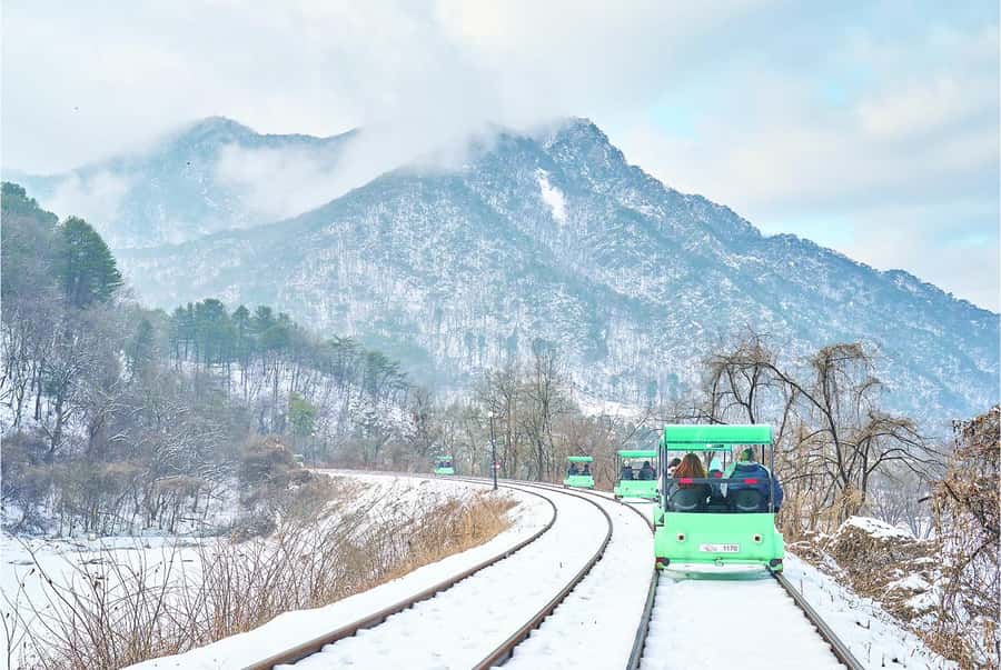 Eobi Ice Valley & Nami (+ Light Festival, Railbike, Alpaca) - How This Winter Day Trip Works From Seoul (And Why It’s a Good Fit)
