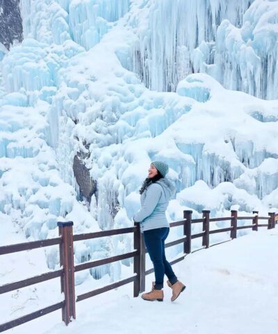Eobi Ice Valley & Nami (+ Light Festival, Railbike, Alpaca) - Nami Island in Winter: Tree-Lined Calm and K-Drama Photo Stops
