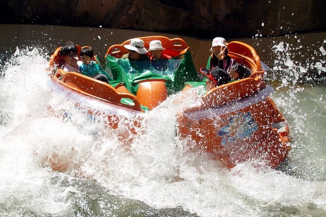 Everland Theme Park Admission Ticket with Transfer from Seoul - Timing tricks: choosing early vs late return