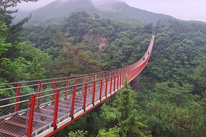 Explore DMZ from Seoul +(optional) Gondola/Red Suspension Bridge - Key Things I’d Plan for Before You Go