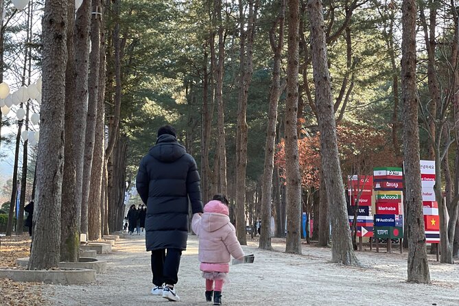 Four Seasons of Nami Island with Garden of Morning Calm Tour - Price and logistics: is $88 good value?