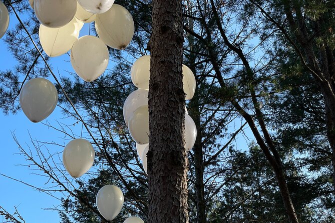 Four Seasons of Nami Island with Garden of Morning Calm Tour - Who this Nami + Garden tour is best for
