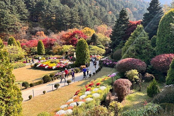 Four Seasons of Nami Island with Garden of Morning Calm Tour - Tips to make the day smoother (and more fun)