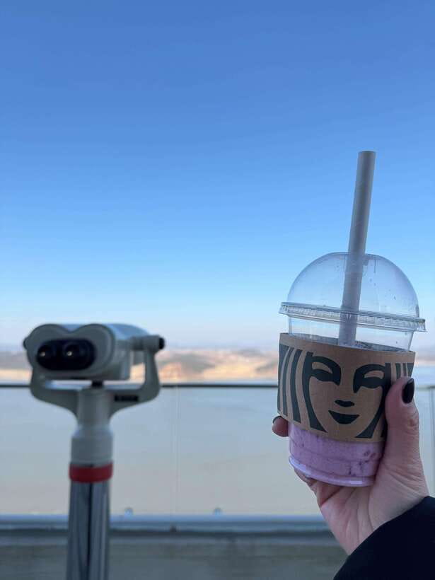 From Seoul: Aegibong Starbucks Observatory & DMZ View - Key highlights you’ll care about