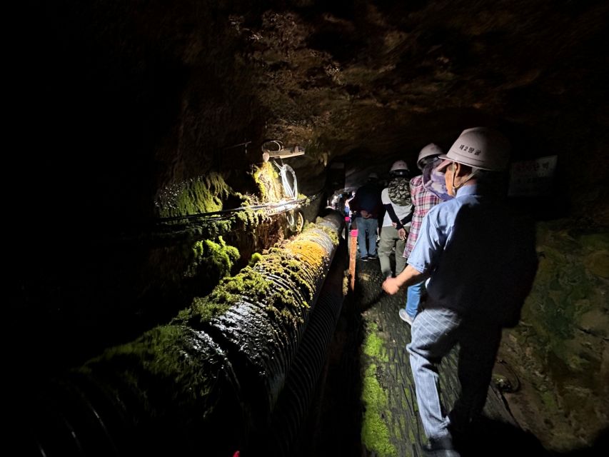 From Seoul: Cheorwon DMZ and 2nd Tunnel Tour with Lunch - Hantangang Y-Bridge over the cliffs: the fun finale with an optional fee