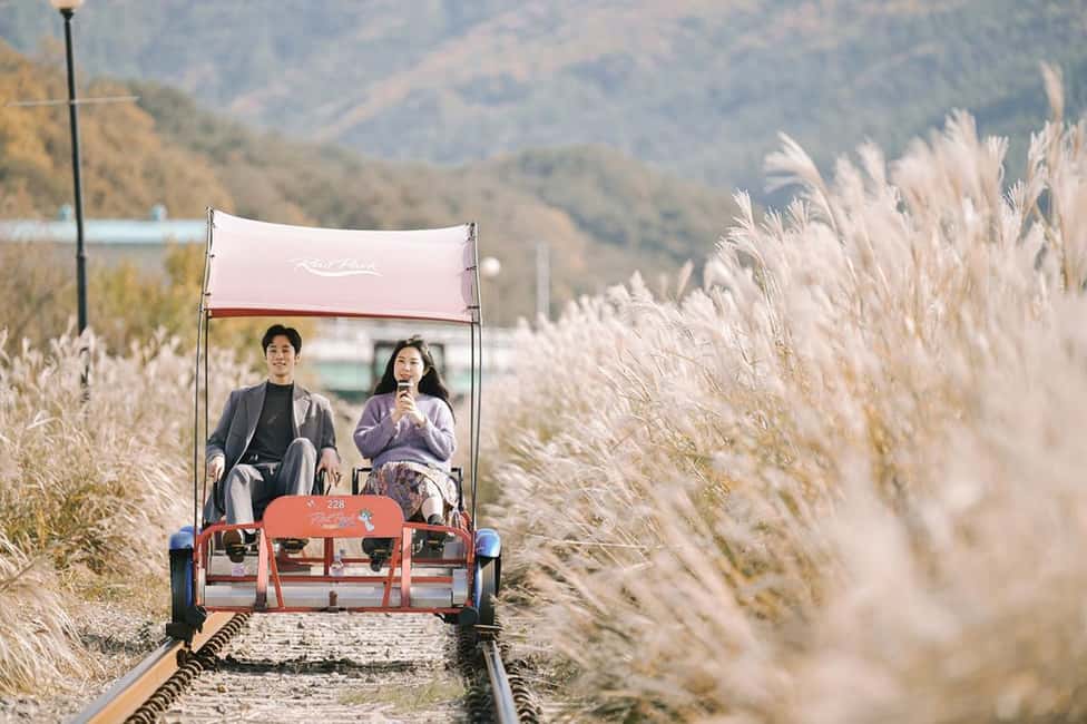 From Seoul: Nami Island, K-drama Garden & Rail Bike Day Tour - Morning calm + nami island: a Seoul escape that actually feels like a day off