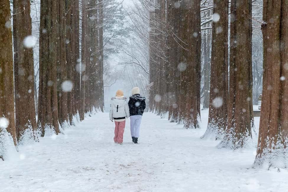 From Seoul: Nami Island, K-drama Garden & Rail Bike Day Tour - Nami Island: K-drama romance meets real walking space