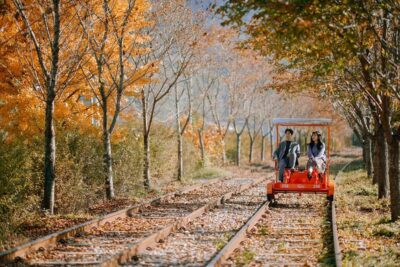 From Seoul: Nami Island, K-drama Garden & Rail Bike Day Tour - Garden of Morning Calm: where winter lighting turns a walk into an event