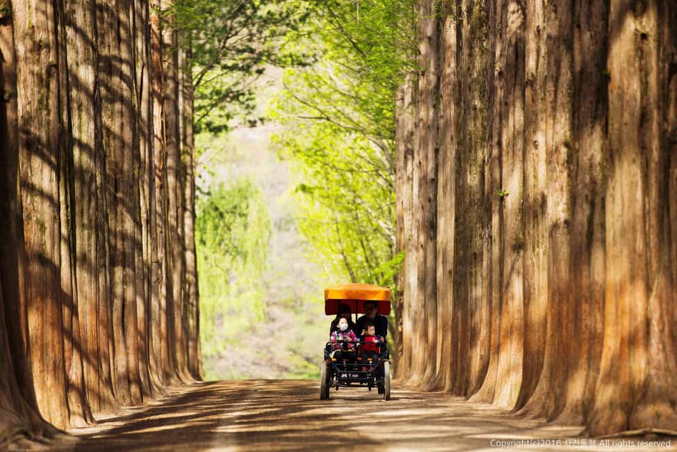 From Seoul: Nami Island, K-drama Garden & Rail Bike Day Tour - Gangchon Rail Bike at Gangchon Rail Park: the active stop that makes the day memorable