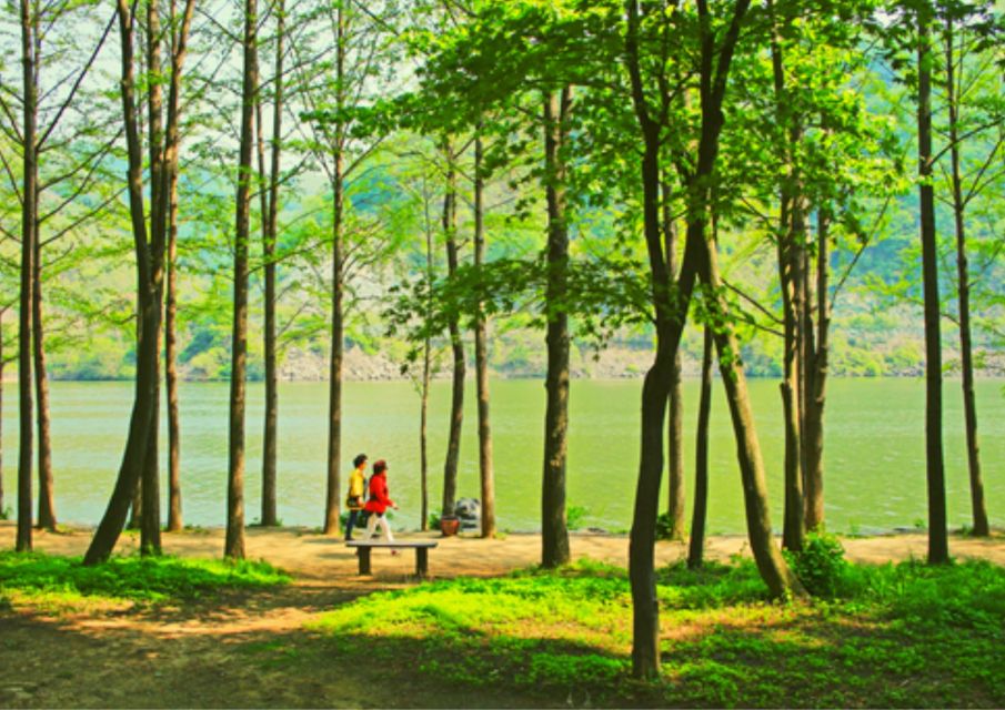 From Seoul: Nami Island, K-drama Garden & Rail Bike Day Tour - Group tour vs private option: who should pick what