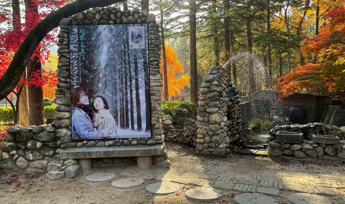 From Seoul: Nami Island, K-drama Garden & Rail Bike Day Tour - What to pack: the small things that prevent a rough day