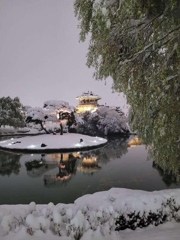 From Seoul: Suwon Hwaseong Fortress Night Tour - Key highlights