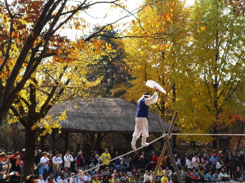 From Seoul: Suwon Hwaseong Fortress Tour - Who should book this Suwon tour, and who should skip it