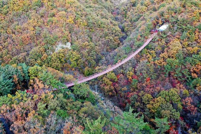 Full Day Private Tour DMZ (The 3rd Tunnel) & Suspension Bridge - Gamaksan Chulleong Suspension Bridge: history meets a viewpoint
