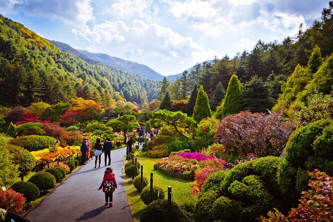 Full Day Private Tour Nami Island, Garden & Petite France - Petite France: French theme-park streets through a Korean lens