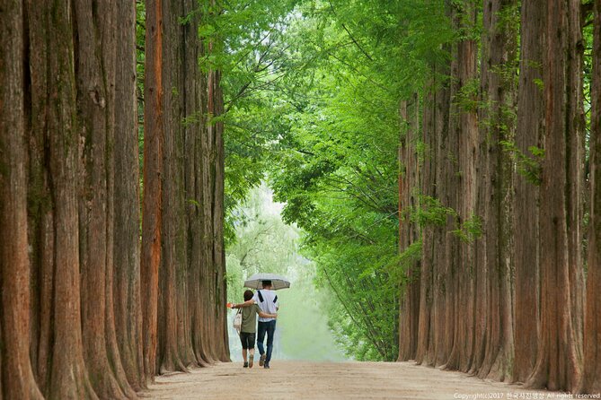 Full Day Private Tour Nami Island, Garden & Petite France - When the schedule works (and when it doesn’t)