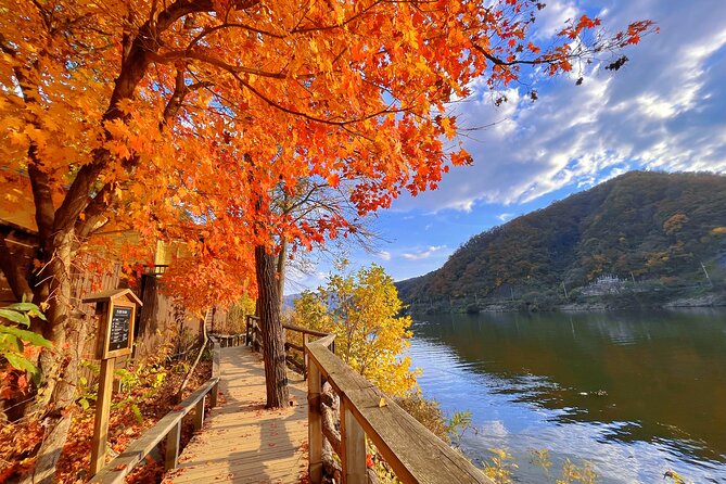 Full Day Private Tour Nami Island, Garden & Petite France - Price and value: what you’re paying for at $260 per person