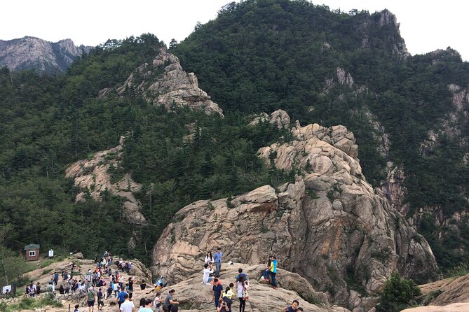 Full-Day Tour in Mt. Seorak & Nami (+Rail Bike Option) - Why pairing Mt. Seorak with Nami Island is such a good use of time