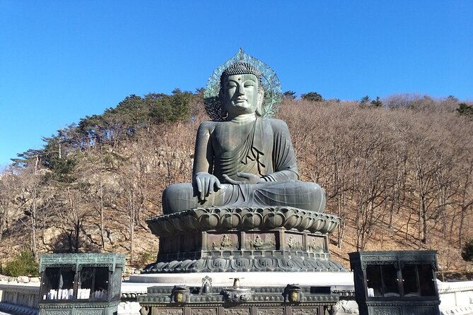Full-Day Tour in Mt. Seorak & Nami (+Rail Bike Option) - Nami Island: tree-lined walks, art corners, and Winter Sonata nostalgia