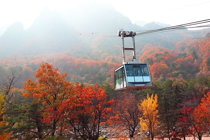 Full-Day Tour in Mt. Seorak & Nami (+Rail Bike Option) - Seoul pickup, a 14–16 hour day, and how to not burn out